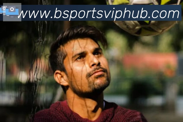 Bsports官网发展历程