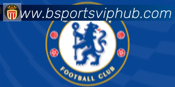 Bsports官网合作伙伴