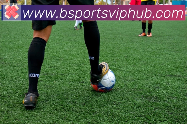Bsports官网全站App